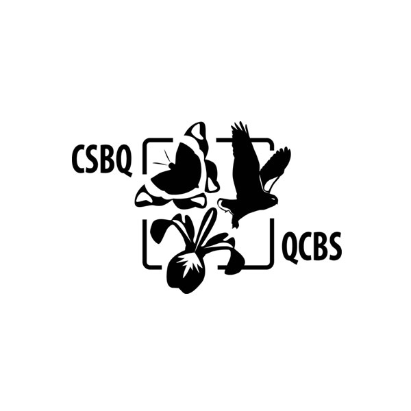 CSBQ